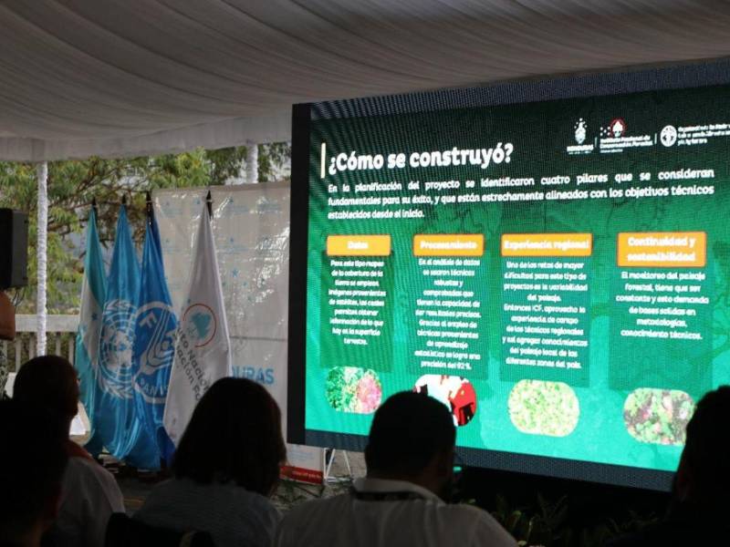 El desarrollo del mapa responde a la necesidad de contar con datos confiables en materia de gestión forestal y uso del territorio.