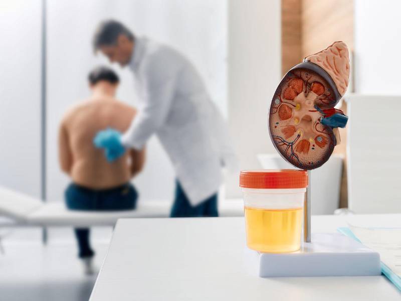 América Latina y Caribe es la cuarta región con mayor prevalencia estandarizada por edad de ERC (15,4 %).