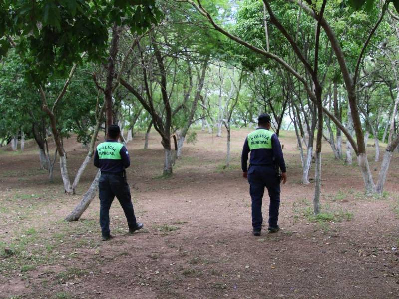 La Gerencia del Centro Histórico informó que alrededor de 11 espacios públicos fueron recuperados en el centro y alrededores de la ciudad. Uno de ellos el el Cerro de la Felicidad.