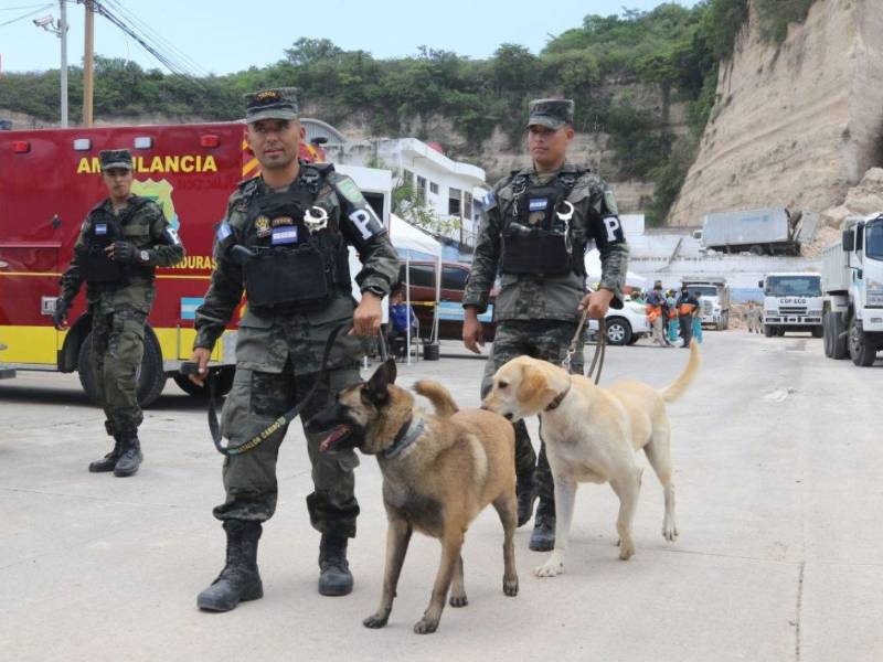 Foto: El Heraldo