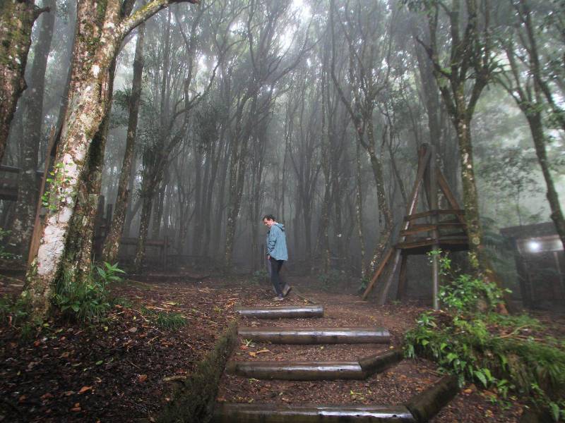 El Bosque Nublado es uno de los senderos más visitados en La Tigra. En el recorrido pueden observar helechos, musgos y escuchar el canto de las aves.