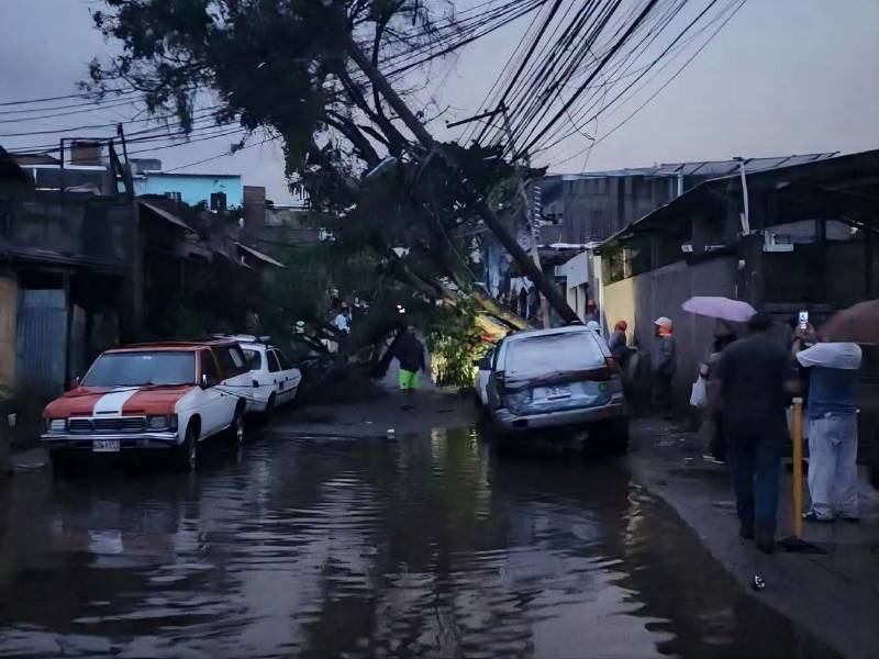 El reporte contabiliza 10 inundaciones, además de la caída de un árbol, un socavón, un deslizamiento, un derrumbe y un puente afectado en diferentes sectores del Distrito Central.