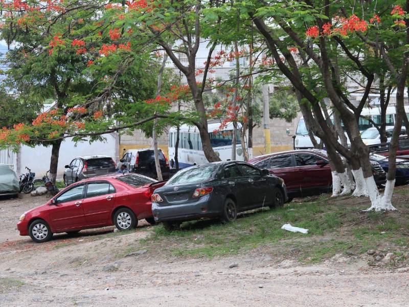 La zona se encuentra repleta de vehículos particulares y de la DNVT.