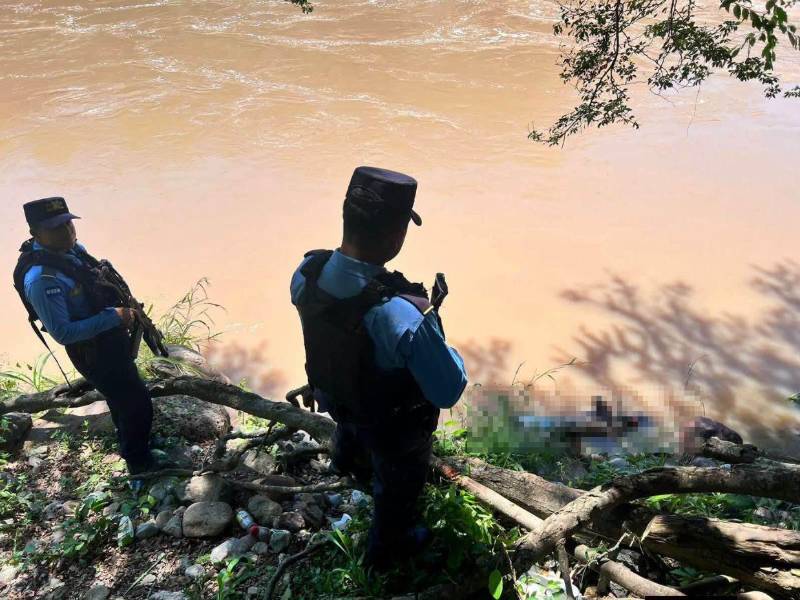 El cuerpo estaba detenido con las raíces de un árbol