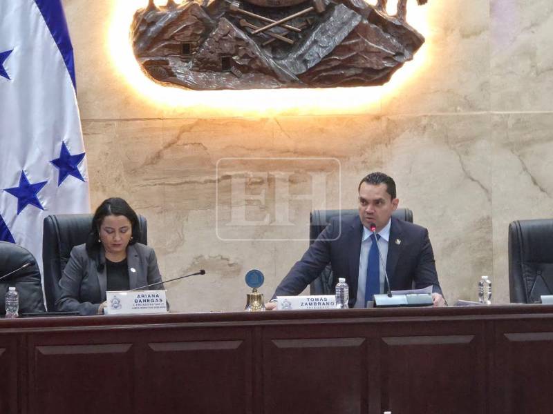 Congreso Nacional priorizará reformas electorales antes de elegir autoridades del CNE y TJE, un proceso que demorará al menos dos semanas más.