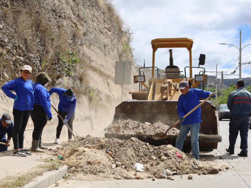 Personal de la Alcaldía Municipal del Distrito Central desarrolla trabajos de mantenimiento vial y limpieza en sectores estratégicos de la capital.
