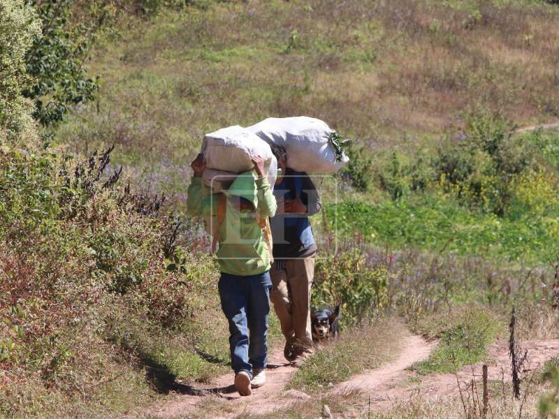 Miles de niños y adolescentes ejercen una responsabilidad que no les corresponde como consecuencia de la pobreza y falta de oportunidades.