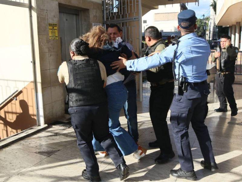 La diputada se encontraba dando una entrevista cuando el explosivo le cayó en la espalda.