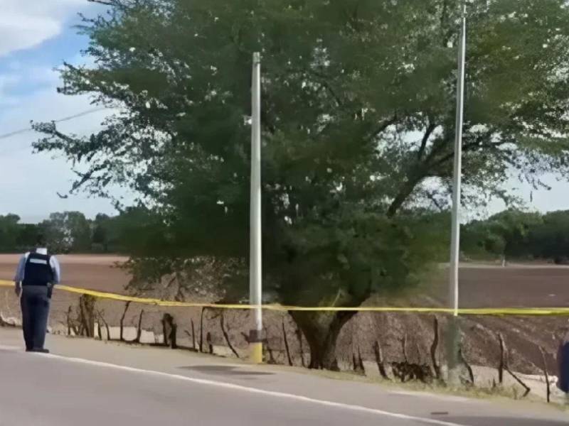El cuerpo fue hallado envuelto en sacos en el kilómetro 79 de la CA-5 norte.