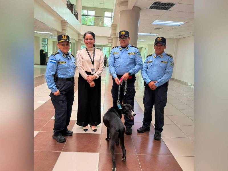 Mientras se localiza a su familia, agentes policiales asumieron el cuidado del canino dentro del Palacio de Justicia.