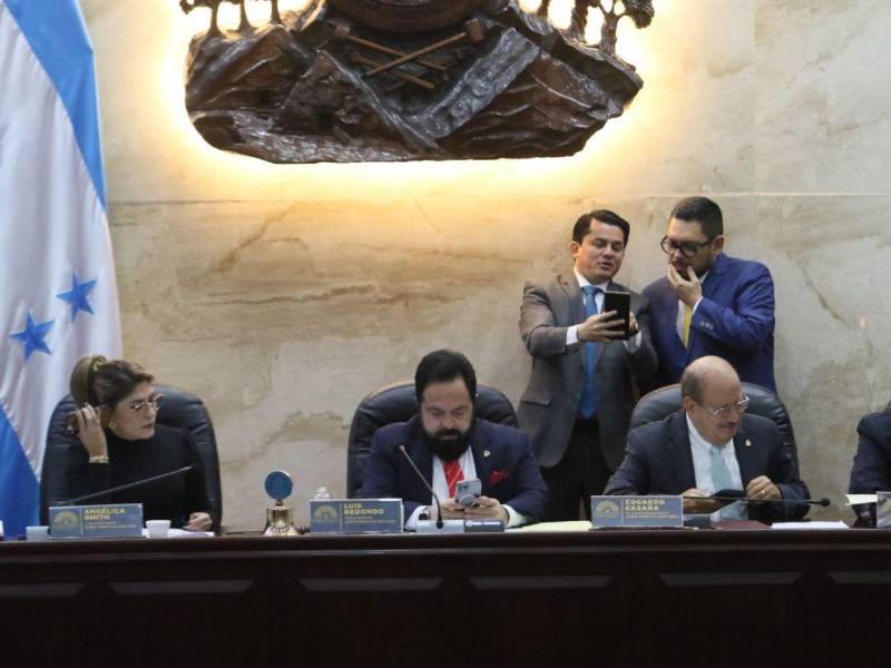 La pugna entre Luis Redondo y diputados opositores agudiza la crisis en el Congreso Nacional. Se prevé que hoy se instale la Comisión Permanente en el Poder Legislativo.