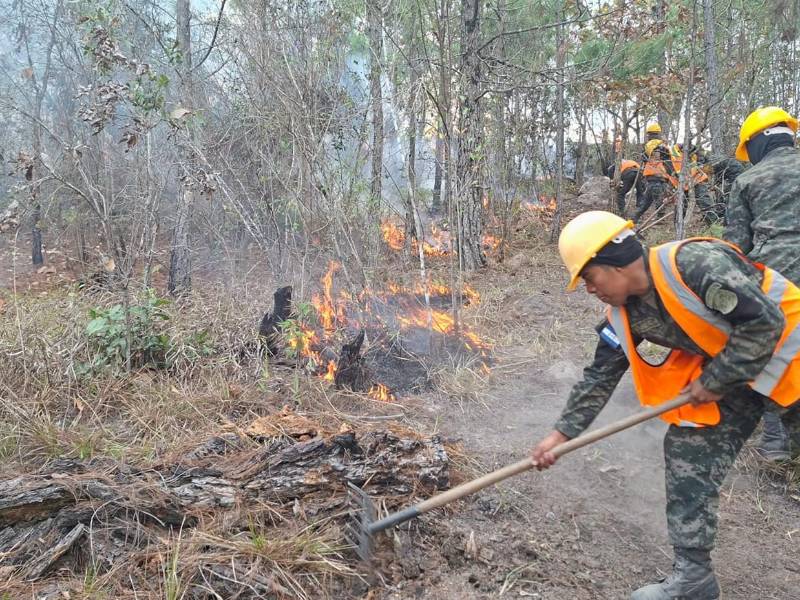 Las Fuerzas Armadas de Honduras (FF AA) participaron durante el fin de semana en el combate y control de al menos nueve incendios forestales registrados en diferentes regiones del país, informaron autoridades.