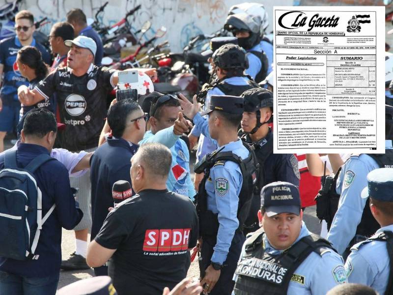 A continuación le explicamos los puntos más importantes que establece la ley contra la violencia en los estadios e instalaciones deportivas aprobada por el Congreso Nacional en 2015.