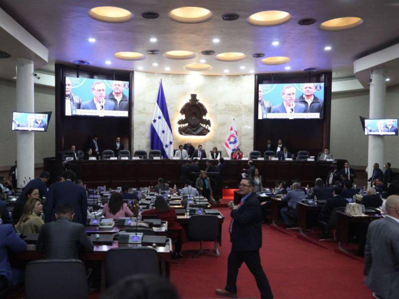 Las bancadas legislativas mantienen conversaciones sin lograr una posición unificada sobre el proyecto.