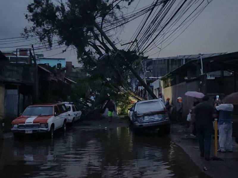 Daños en la colonia La Joya.