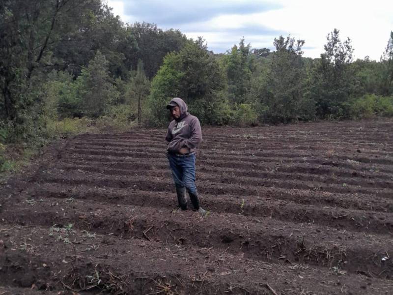 Productores de Lepaterique pierden hasta 70% de sus cultivos por la sequía