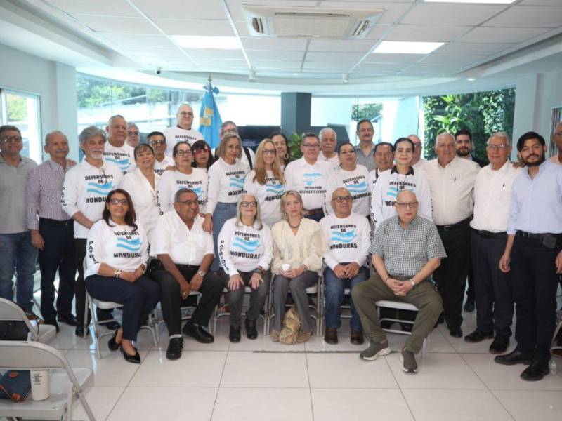 La Plataforma Cívica Defensores por la Democracia recordó al CN realizar el juicio político a quienes han actuado en contra de la democracia en Honduras.