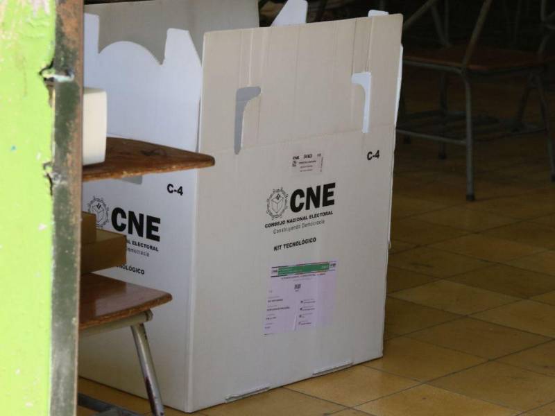 Las OEA manifestó preocupación e instó a que se lleven a cabo las elecciones del 30 de noviembre en la fecha establecida.