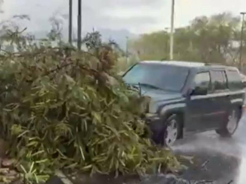 Reportera queda herida tras ser arrollada mientras cubría un deslave en Monterrey.