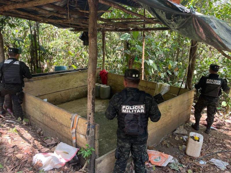 Las Fuerzas Armadas han desmantelado al menos ocho narcolaboratorios en Honduras este 2026.