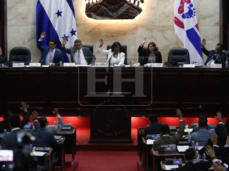 ​Uno de los ejes centrales de esta propuesta legislativa es otorgar al Consejo Nacional de Defensa y Seguridad la potestad de declarar formalmente a estas organizaciones como <b>grupos terroristas. </b>