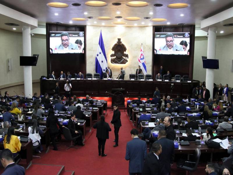 Los diputados aprobaron asignaciones presupuestarias a la Fundación Esperanza Patepluma, asilo el Buen Samaritano y para el Centro de Rehabilitación Integral de Puerto Cortés.