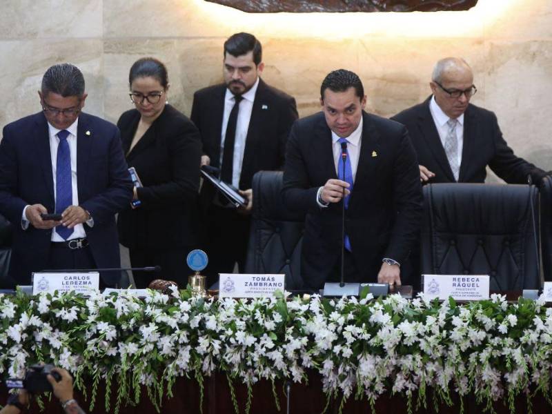 El nuevo presidente del Congreso Nacional, Tomás Zambrano, prometió reformar la Ley Orgánica del legislativo porque da lugar a los abusos.