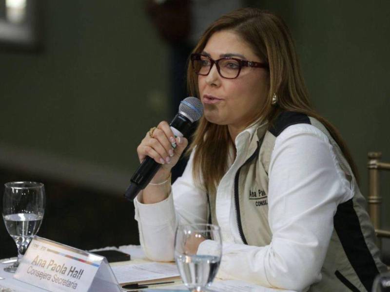 Ana Paola Hall hizo un llamado a los partidos políticos y así continuar con el proceso electoral.
