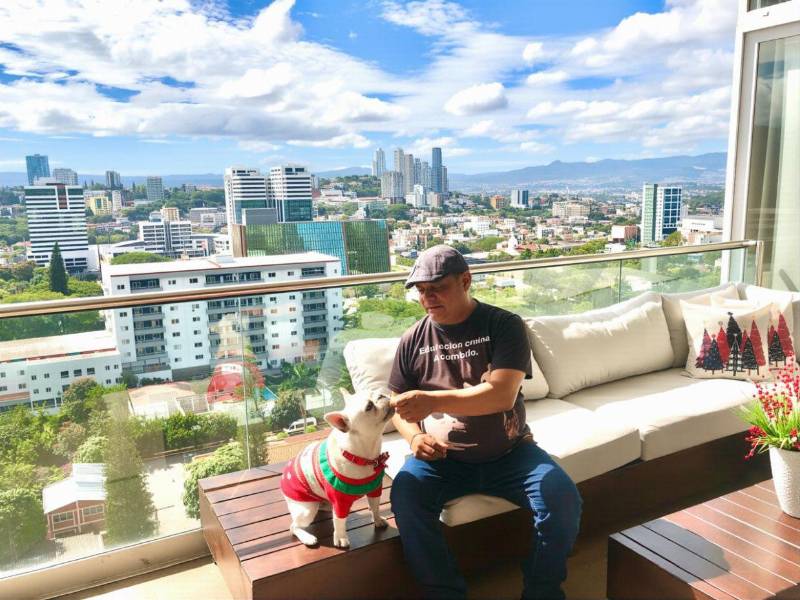 Ante posibles síntomas desencadenados por la pirotecnia y pólvora en estas épocas navideñas, expertos recomiendan visitar o consultar con veterinarios.