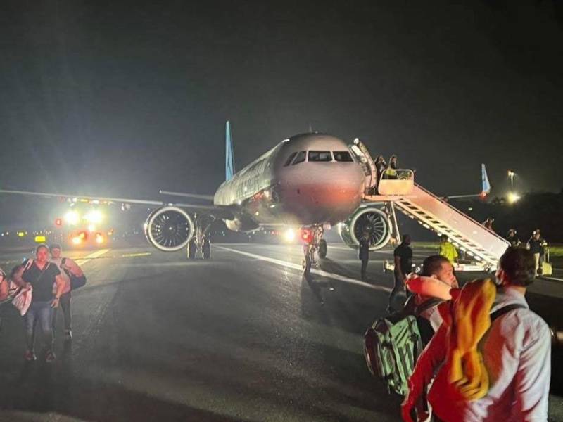 El choque provocó un breve incendio del motor del avión, según diversos reportes.