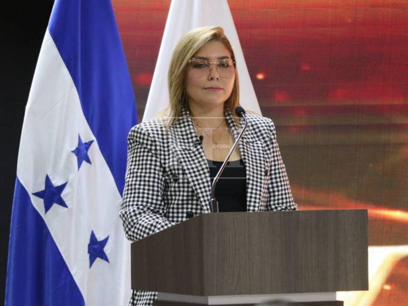 La consejera Ana Paola Hall expuso los escenarios que, según el informe del CNE, marcaron la crisis electoral.