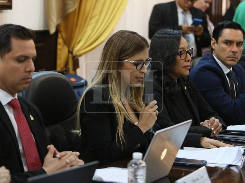 La audiencia inició tras la presentación de un recurso de amparo por parte del magistrado antes la secretaría del Legislativo.