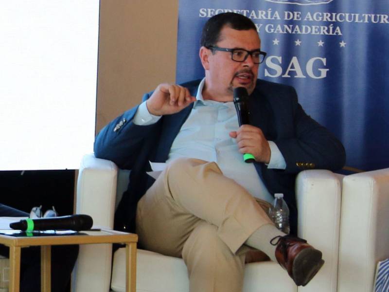 Moisés Molina, ministro de la Secretaría de Agricultura y Ganadería (SAG), dijo que no hay alimento para las vacas porque los ganaderos no se prepararon.