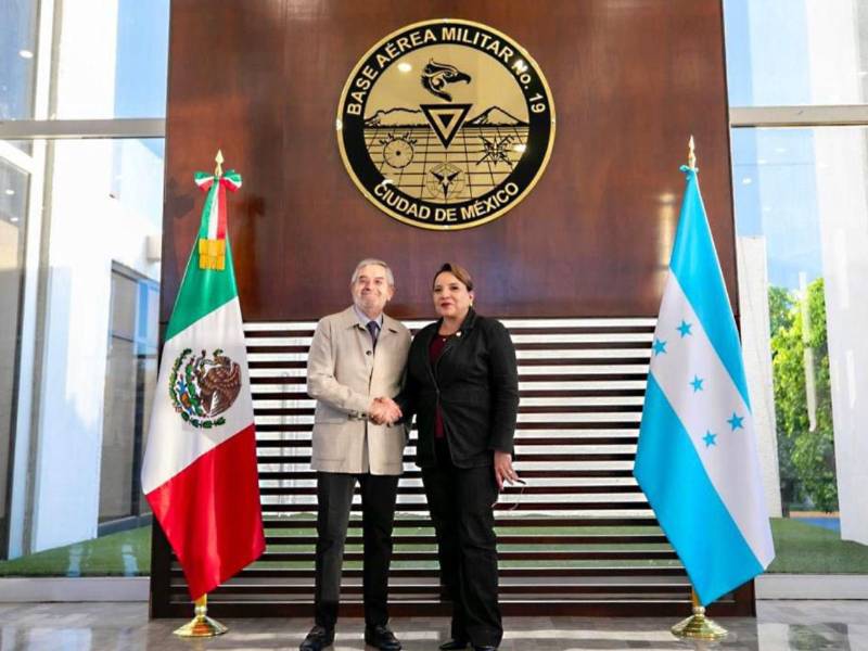 En su llegada a México, la presidenta Castro fue recibida por canciller mexicano Juan Ramón de la Fuente.