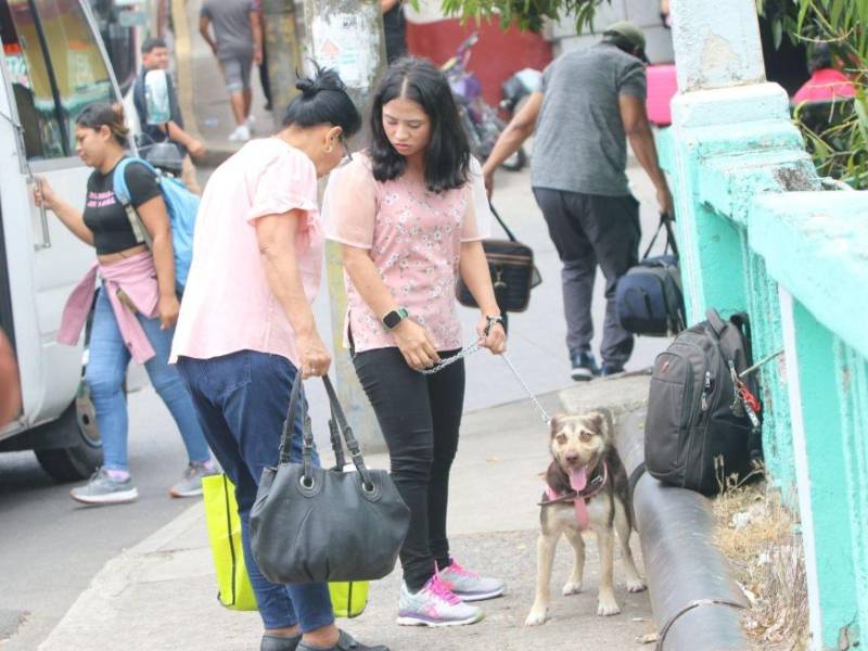 La Semana Santa mueve a cientos de capitalinos que viajan a sus pueblos o destinos turísticos, mientras otros disfrutan actividades religiosas en zonas cercanas.