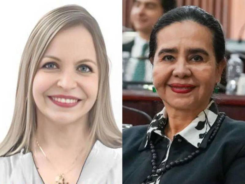 KathyaPastor fue electa como diputada suplente de la diputada propietaria Luz Ernestina Mejía.