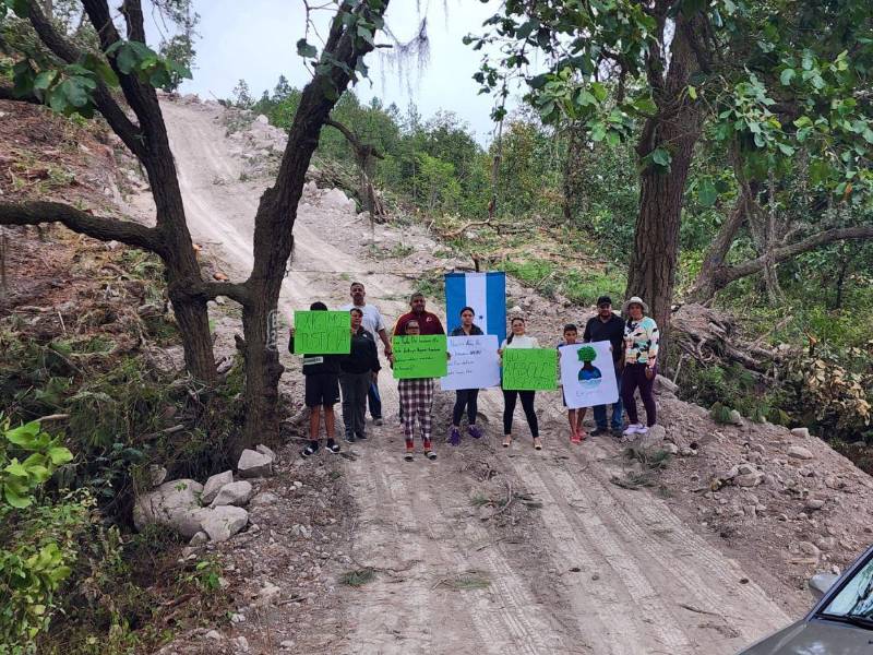 Habitantes de El Horno exigen frenar la tala de árboles y anuncian denuncias ante el ICF, Serna y Ministerio Público por la deforestación.