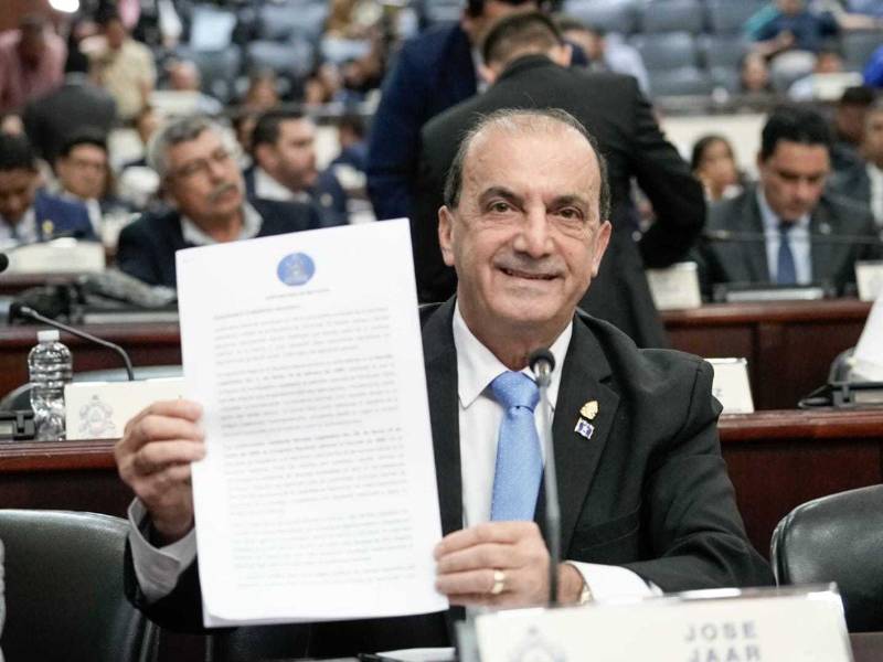 La propuesta se limita al color del pabellón nacional, sin afectar su estructura.