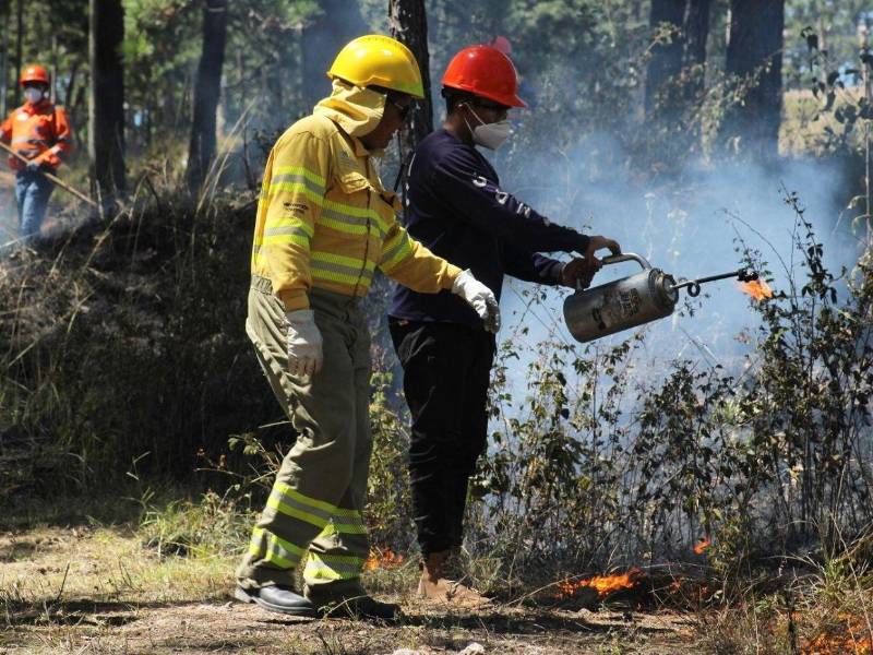 La alcaldía del Distrito Central lanzó la campaña “Cero Incendios” para prevenir siniestros forestales en los bosques que rodean la capital mediante vigilancia y respuesta rápida.