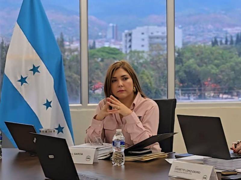 La consejera Ana Paola Hall celebró el retorno de sesiones en el Consejo Nacional Electoral.