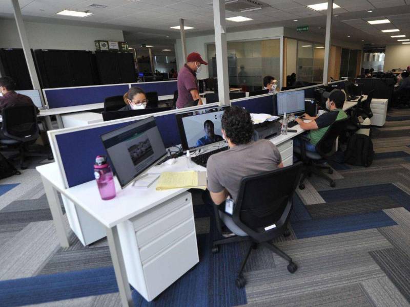 Los empleados públicos no trabajarán este lunes de 1 diciembre por las elecciones.