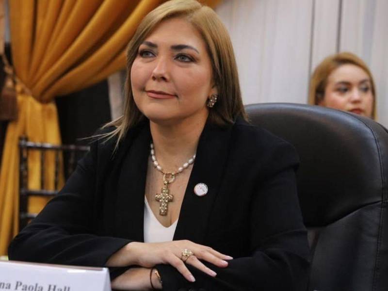 Ana Paola Hall, consejera presidenta del CNE.