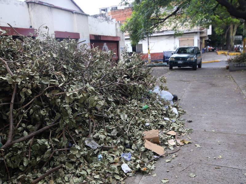 Vecinos denuncian acumulación, donde ramas afectan el paso de los peatones.