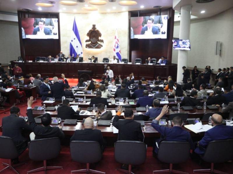En los próximos días esta iniciativa llegará al pleno del Congreso Nacional.