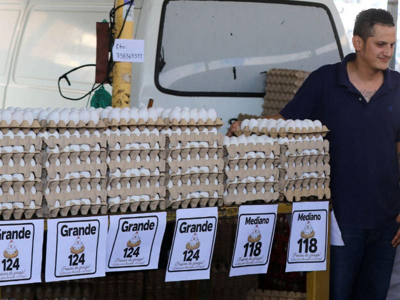 El cartón de huevos grandes pasó de 115 a 124 lempiras, mientras los medianos cuestan 118 y los pequeños alcanzan los 110 lempiras.