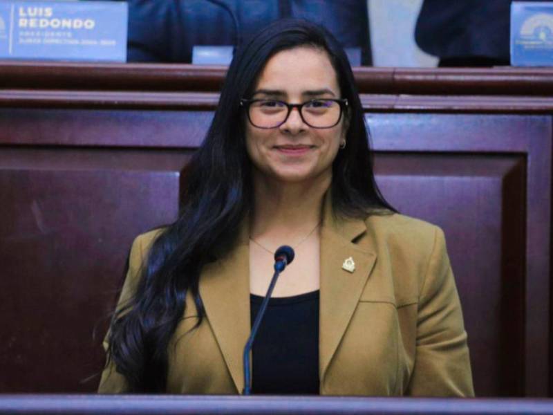 La diputada Isis Cuéllar dejará que se amplíen las investigaciones para dar una versión más amplia.