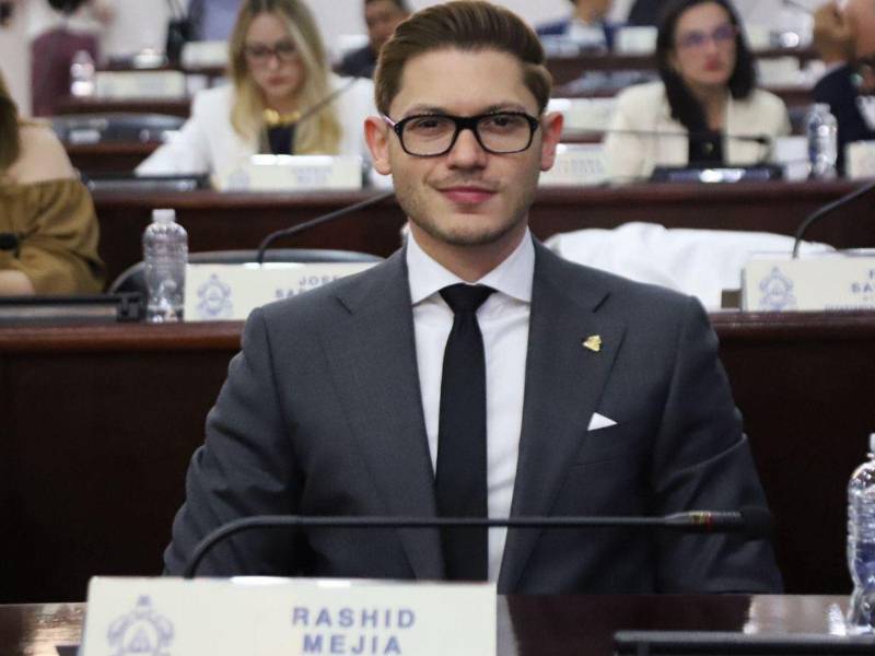 El diputado Rashid Mejía presentó este proyecto en el Congreso Nacional.
