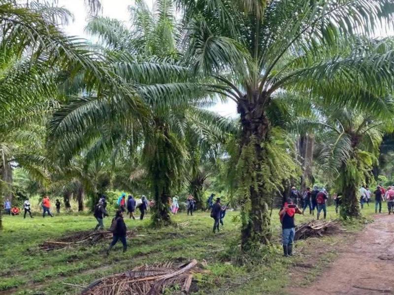 Los sicarios llegaron hasta una finca de Trujillo, Colón y acabaron con la vida de varias personas.