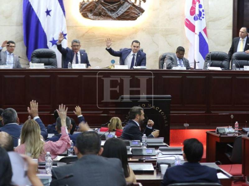 El Poder Legislativo tiene todo listo para entregar los fascículos sobre principios y valores en escuelas de Honduras.
