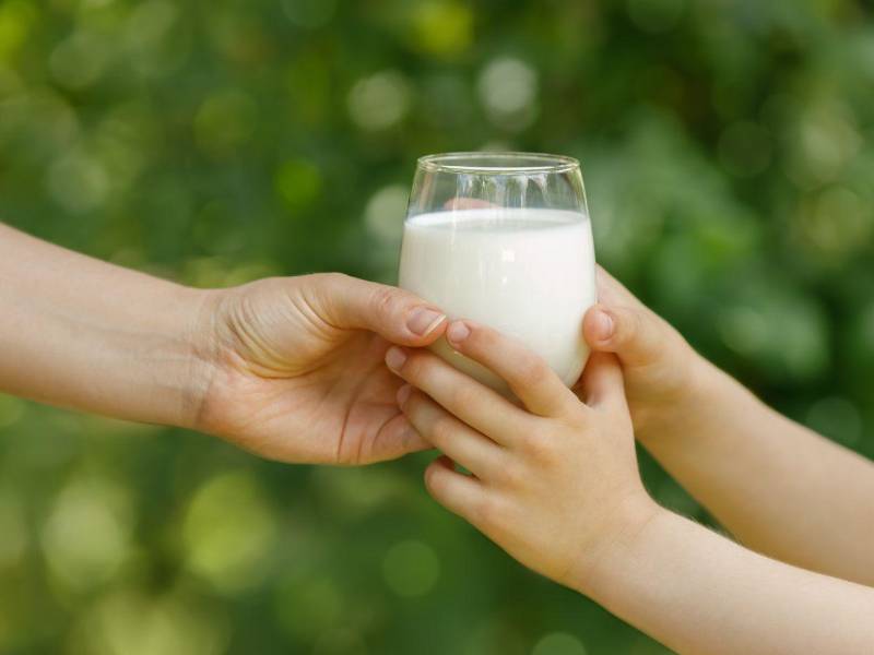 Se prevé distribuir más de 200,000 raciones de leche 100% hondureña durante los próximos cuatro o cinco meses restantes del año escolar.